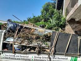 Best Construction Debris Removal  in South Pasadena, FL